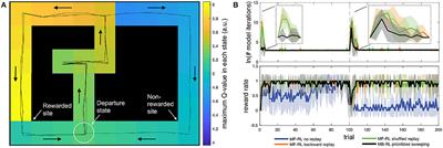 Model-Based and Model-Free Replay Mechanisms for Reinforcement Learning in Neurorobotics